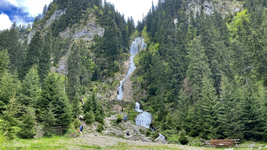 Borșa Horses Waterfall